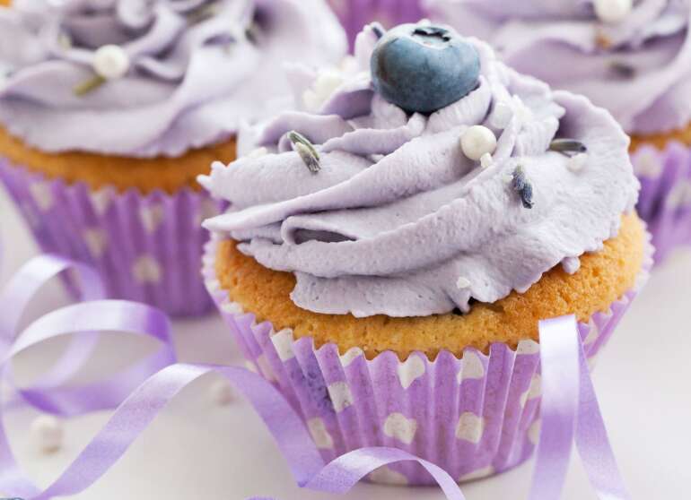 Blueberry Cupcakes